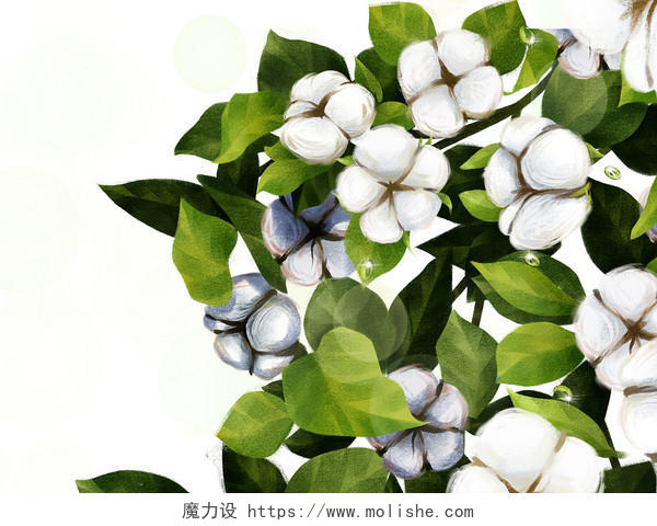 绿色卡通手绘节气白露棉花树元素PNG素材